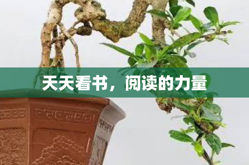 阅读的力量图片