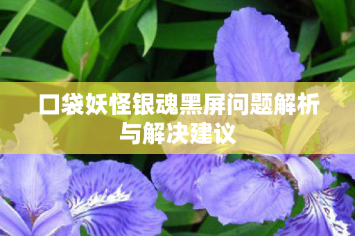口袋妖怪银魂黑屏问题解析与解决建议图片