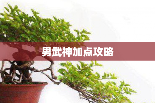 男武神加点攻略图片