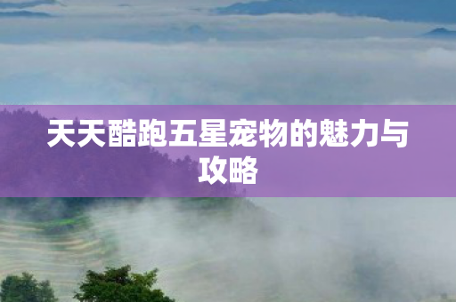 天天酷跑五星宠物的魅力与攻略图片
