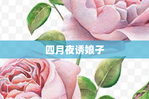 四月夜诱娘子图片
