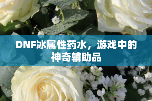 游戏中的神奇辅助品图片