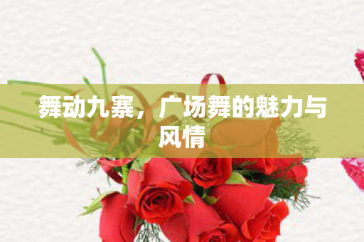 广场舞的魅力与风情图片