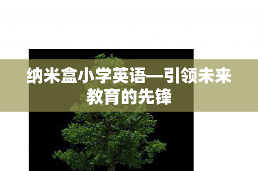 引领未来教育的先锋图片