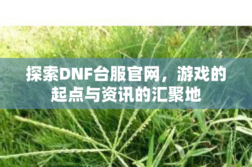 游戏的起点与资讯的汇聚地图片