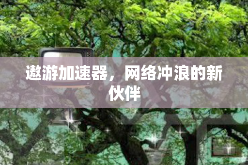 网络冲浪的新伙伴图片