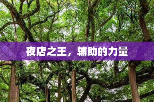 辅助的力量图片