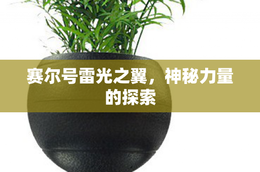 赛尔号雷光之翼图片