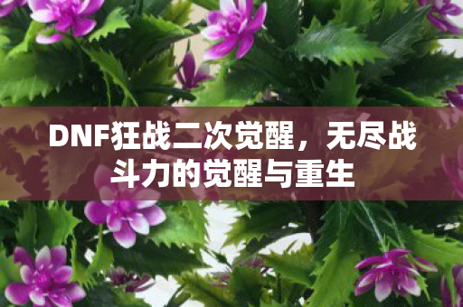 无尽战斗力的觉醒与重生图片