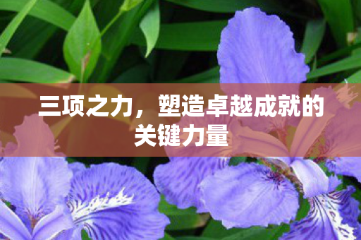 塑造卓越成就的关键力量图片