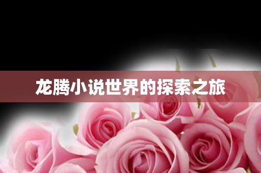 龙腾小说世界的探索之旅图片