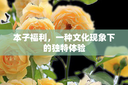 一种文化现象下的独特体验图片