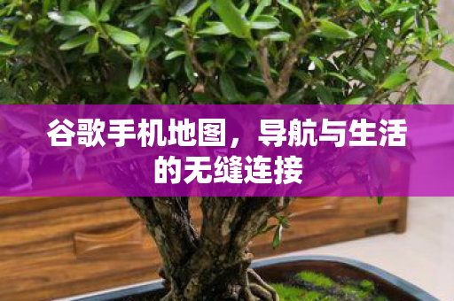 导航与生活的无缝连接图片