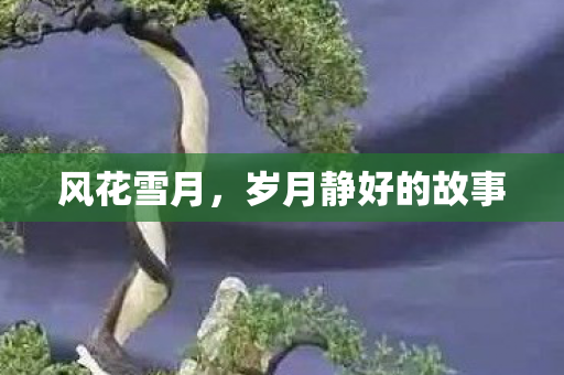 岁月静好的故事图片