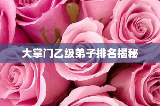 大掌门乙级弟子排名揭秘图片