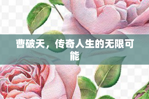 传奇人生的无限可能图片