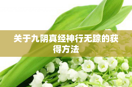 关于九阴真经神行无踪的获得方法图片