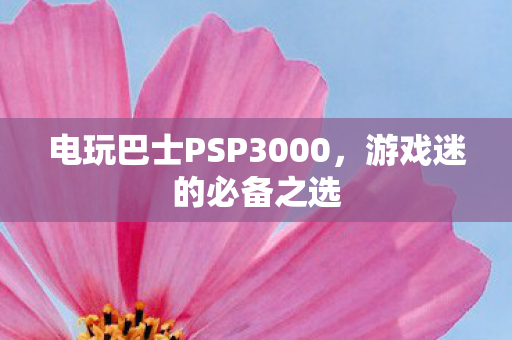 电玩巴士PSP3000图片