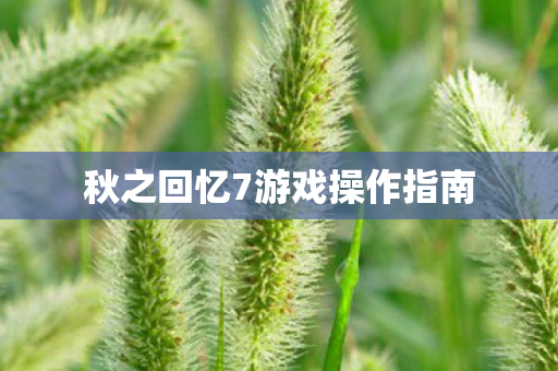 秋之回忆7游戏操作指南图片