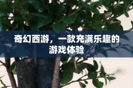 一款充满乐趣的游戏体验图片