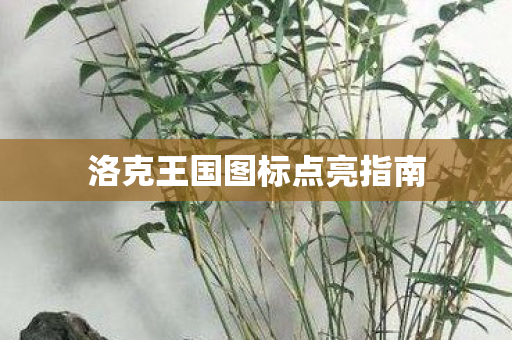 洛克王国图标点亮指南图片