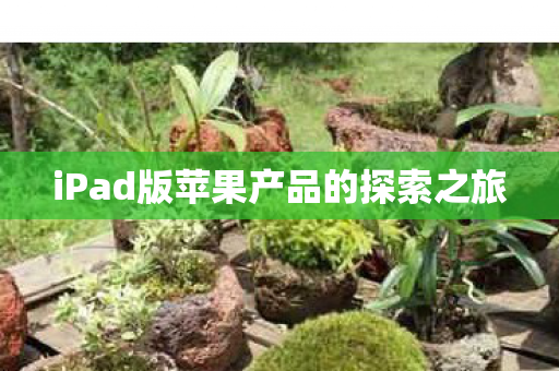 iPad版苹果产品的探索之旅图片
