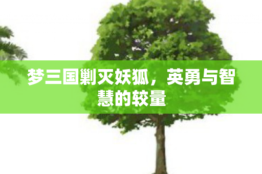 英勇与智慧的较量图片