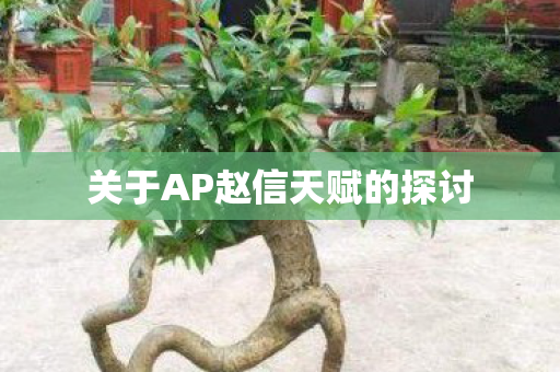 关于AP赵信天赋的探讨图片