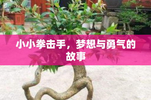 梦想与勇气的故事图片