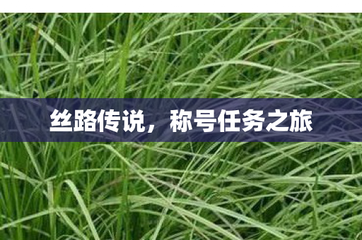 称号任务之旅图片