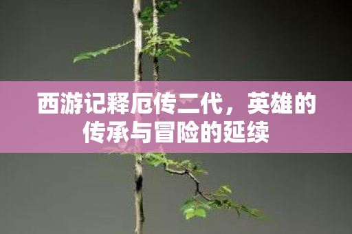 英雄的传承与冒险的延续图片