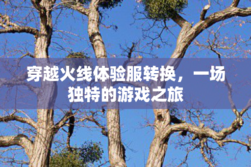 穿越火线体验服转换图片