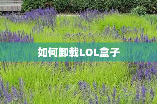 如何卸载LOL盒子图片