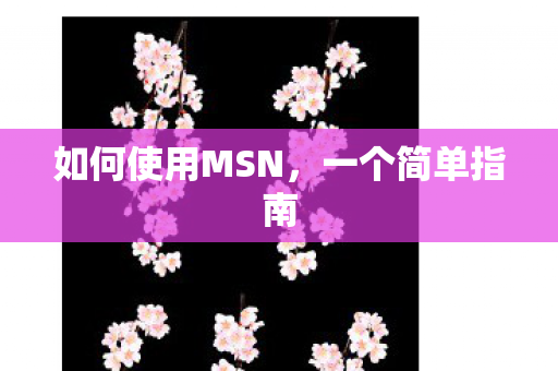 如何使用MSN,一个简单指南 如何使用MSN,一个简单指南