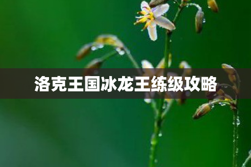 洛克王国冰龙王练级攻略图片