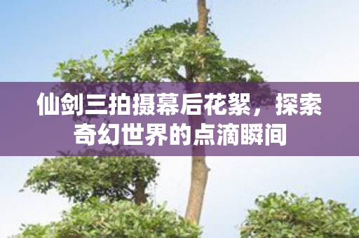 探索奇幻世界的点滴瞬间图片