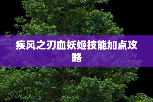 疾风之刃血妖姬技能加点攻略图片