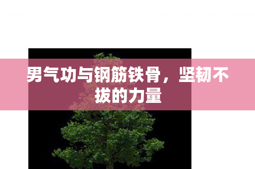 男气功与钢筋铁骨图片