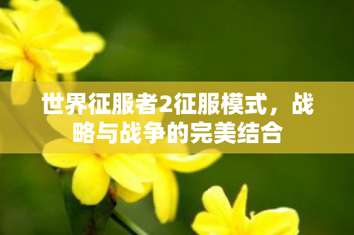 世界征服者2征服模式图片