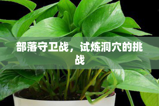 试炼洞穴的挑战图片