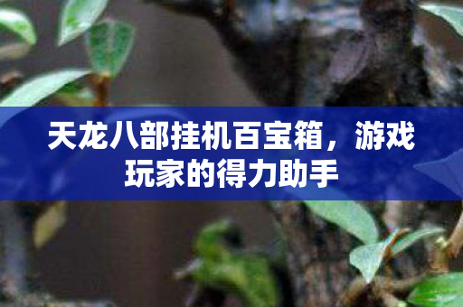 天龙八部挂机百宝箱图片