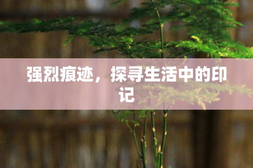 探寻生活中的印记图片