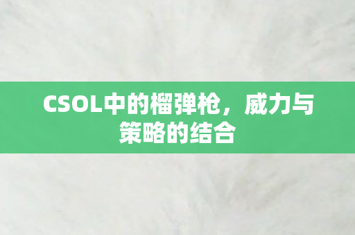 CSOL中的榴弹枪图片