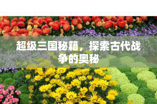 探索古代战争的奥秘图片