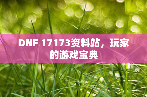 DNF 17173资料站图片