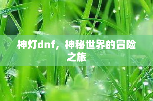 神秘世界的冒险之旅图片