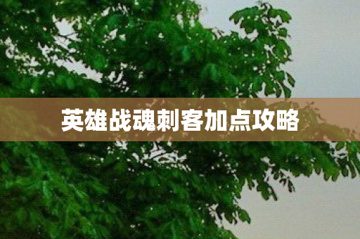 英雄战魂刺客加点攻略图片