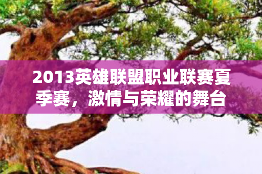 2013英雄联盟职业联赛夏季赛图片