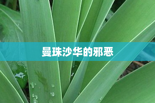 曼珠沙华的邪恶图片