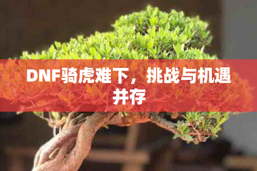 DNF骑虎难下图片